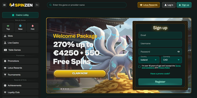 Anteprima del sito Spinzen